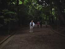 ���É͒뉀������t��